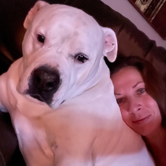 Meet your Posher, Misty - Picture 4 of 10